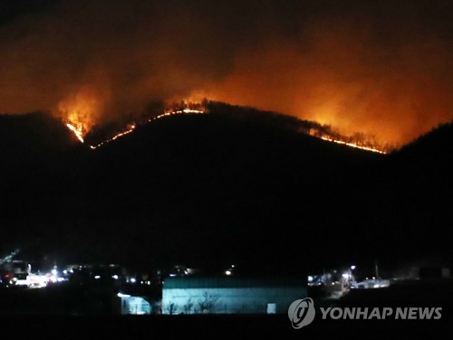 울산시 "울주 산불 피해 규모 현재 100㏊ 추정"