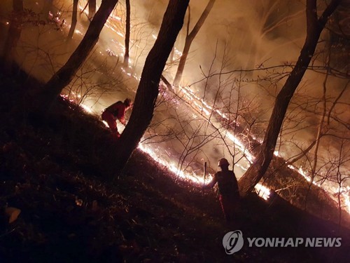 강풍에 8명 다치고 비닐하우스 등 시설파손 잇따라…산불 23건