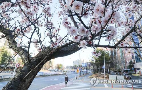 [내일날씨] 월요일 출근길 날씨 '맑음'…미세먼지 '보통'