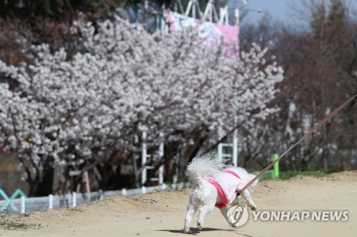 대구·경북 포근한 날씨…오후부터 구름 많아져