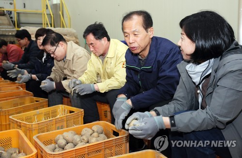 마지막 날까지 뜨거웠던 강원감자…7분 만에 5만 상자 완판