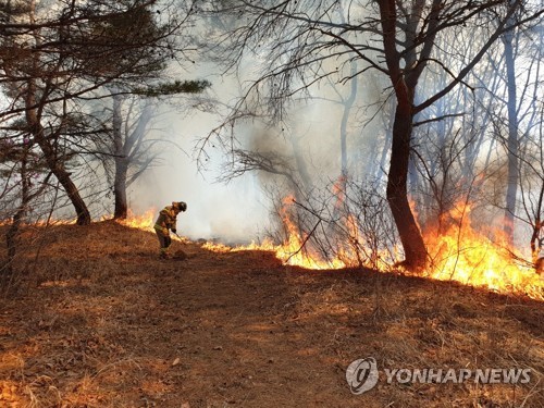 울산 울주군 산불 17㏊ 태우고 진화…"쓰레기 소각 원인"(종합)