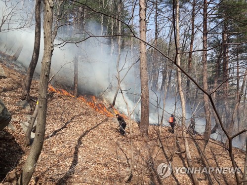 건조특보 속 양양서 산불…헬기 4대 투입 30여분 만에 진화(종합)