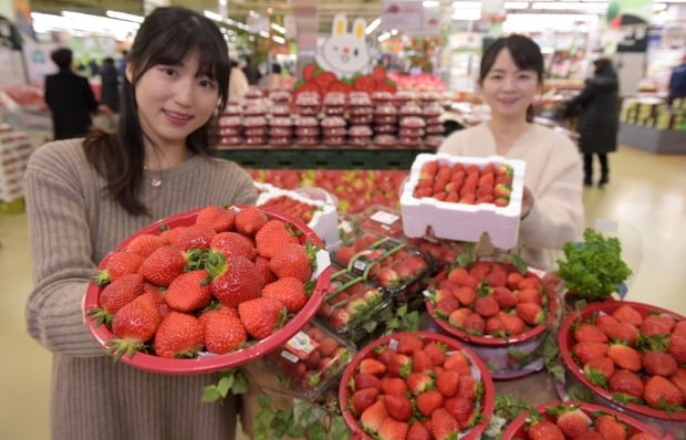 2월 생산자물가지수는 한 달 전보다 0.3% 내렸다. 딸기, 무, 상추 등 농산물이 하락을 주도했다. 사진=연합뉴스