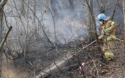 울산 산불 이틀째 이어져…소방 헬기로 큰 불 잡는다