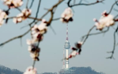 [오늘 날씨] 맑고 포근한 '봄'…낮 최고 12~20도