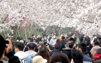 中서 다시 불거진 조작 논란…무증상 환자 4만3000명 통계 제외