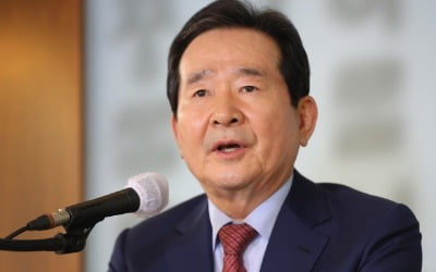 [종합] 정 총리 "일본 비자 제한 유지 가능성…통화 스와프 긍정적"