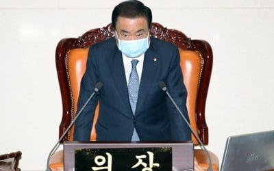 문의장 "선거구 6개군 묶는 건 법률에 배치…획정안 미흡하다"