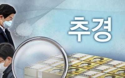 정부, 국무회의서 코로나19 대응 추경안 의결…내일 국회 제출