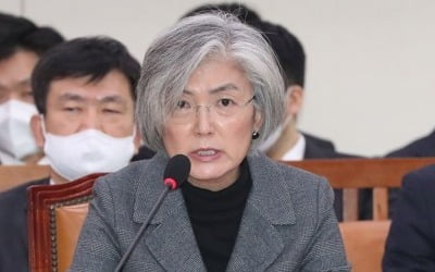 강경화 "한국인 입국금지, 방역능력 없는 국가의 투박한 조치"