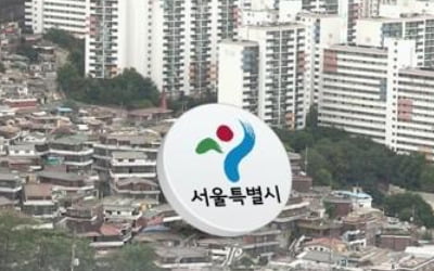 서울시, '일몰제 적용' 24개 정비구역 사업 연장 검토