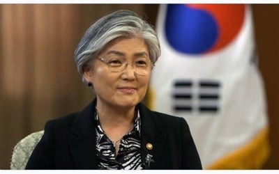 WHO "한국, 코로나19 싸움서 진전"…강경화 "300만달러 기여"