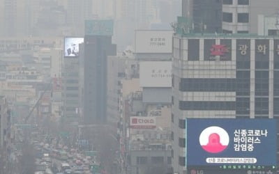 "한국 인구 55%, 'WHO 권고 2배' 초미세먼지에 노출…OECD 1위"