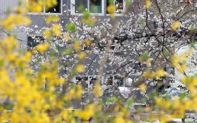 [날씨] 포근한 춘분…강원·경북 일부 아침까지 바람