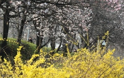 포근한 봄 날씨 이어져…미세먼지 곳곳 '나쁨'