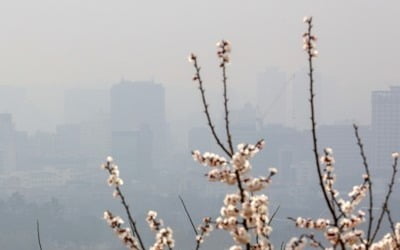 '봄 불청객' 황사 올해도 올까…약했던 북서기류 점차 회복