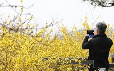 전국 대체로 맑고 포근…일교차 10도 이상