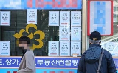 대출 중단 등 악재에도 2월 서울 아파트 거래량 '깜짝' 증가