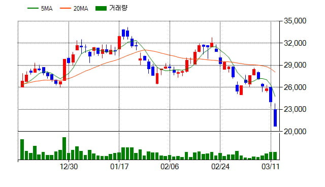 [특징주] 아나패스(123860), 전일대비 -13.75% 하락