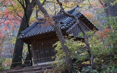 원주 해남 청도 고성…'생태테마관광' 사업 추진