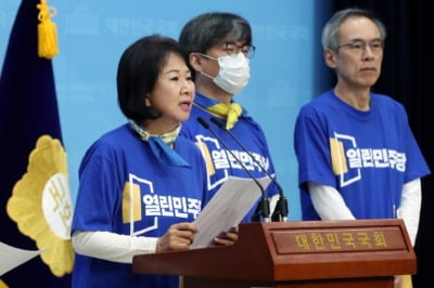 열린당 손혜원 "지지율 내려가 우려…희망의 끈 놓지 않고 있다"