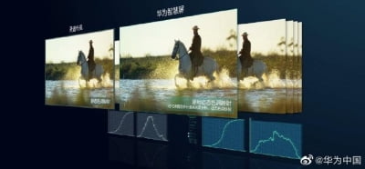 화웨이, OLED TV시장 진출…패널 공급사 LG디플도 '방긋'