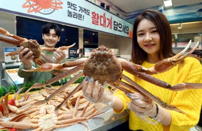 축제 취소에 갈 곳 잃은 러시아산 활대게, 대형마트에서 판매