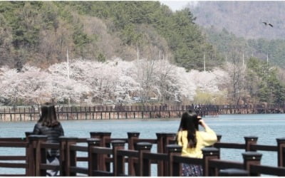 위치추적 피하려 휴대폰 두고 유원지 놀러간 베트남인 3명 추방