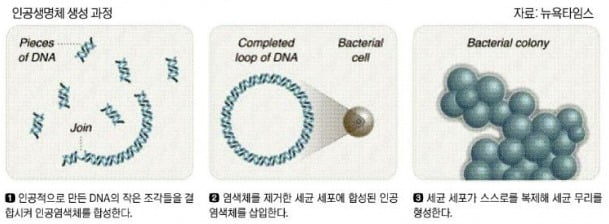 생명체가 스스로 살아갈 수 있으려면 얼마나 많은 유전자가 필요할까?