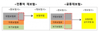 공동재보험제도, 6월께 본격 시행…“2~3개사 가입 검토 중”