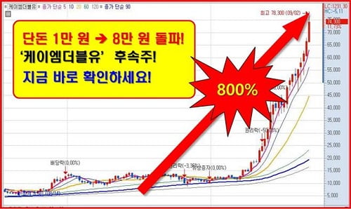 800% 케이엠더블유 능가할 초특급 실적주!