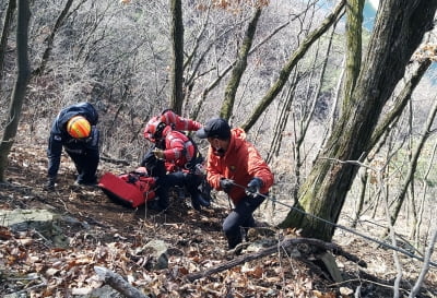 경북서 '산나물 캐다 추락사' 올해 산악사고 165건…코로나에 나홀로 산행족↑