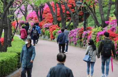 사회적거리두기·봄비에도 나들이 인파 몰렸다…오대산 4600명 육박