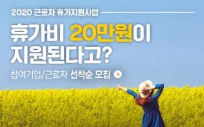 "코로나 블루 국내여행으로 푸세요"…문체부, 근로자 12만명 휴가비 지원