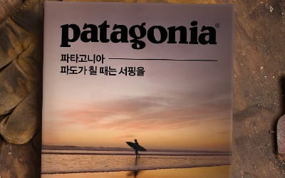 미국 환경운동가의 정신적 지주, 파타고니아 창립자의 경영철학은