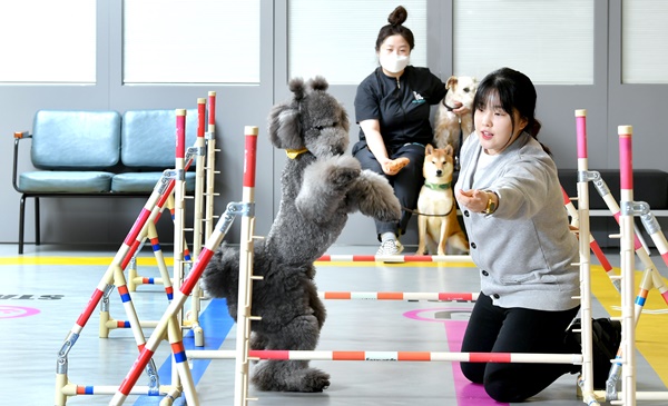 [합격 비밀노트] 서른에 찾은 꿈의 직업 ‘개린이 선생님’… 신세진 미래엔 에듀케어 ‘바우라움’ 펫 트레이너