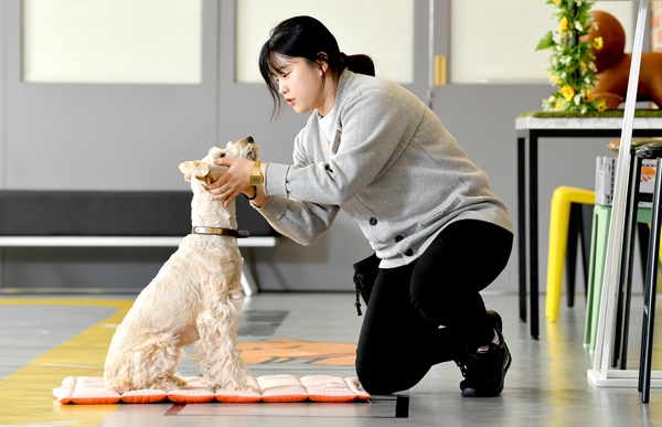 [합격 비밀노트] 서른에 찾은 꿈의 직업 ‘개린이 선생님’… 신세진 미래엔 에듀케어 ‘바우라움’ 펫 트레이너