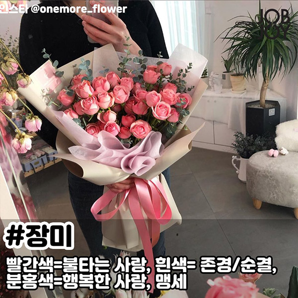 [카드뉴스] 꽃말 예쁜 꽃 추천feat. 튤립, 장미 꽃말