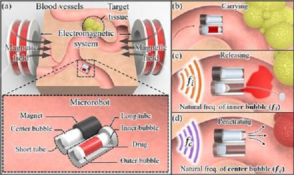 명지대 정상국 연구팀, 기포 통해 인체 내 약물 전달 가능한 초소형 로봇 개발 성공