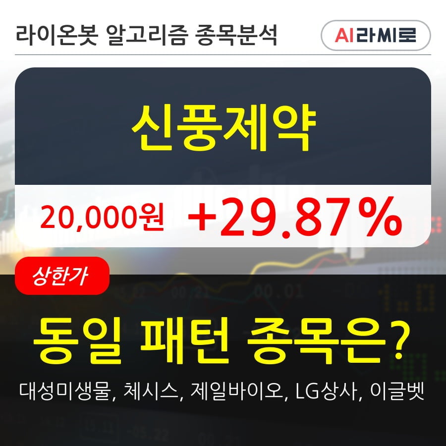 신풍제약