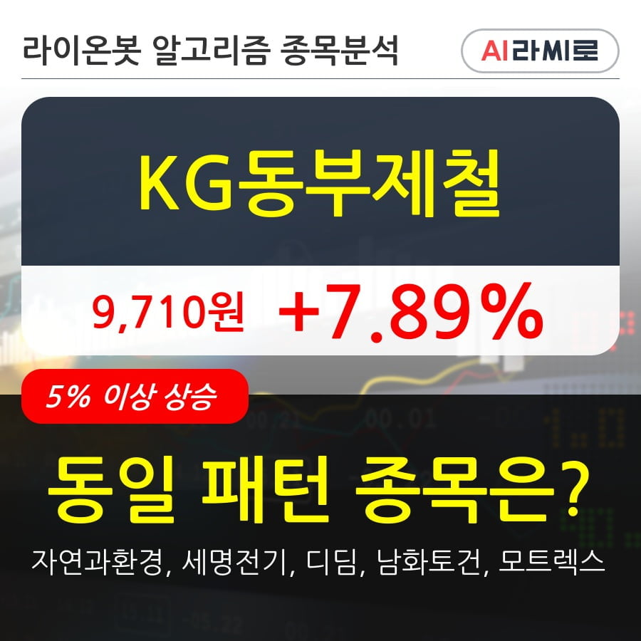 KG동부제철