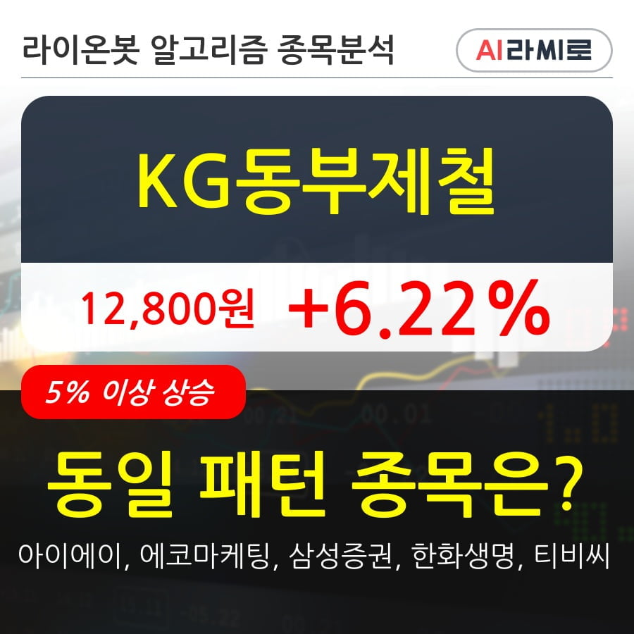 KG동부제철