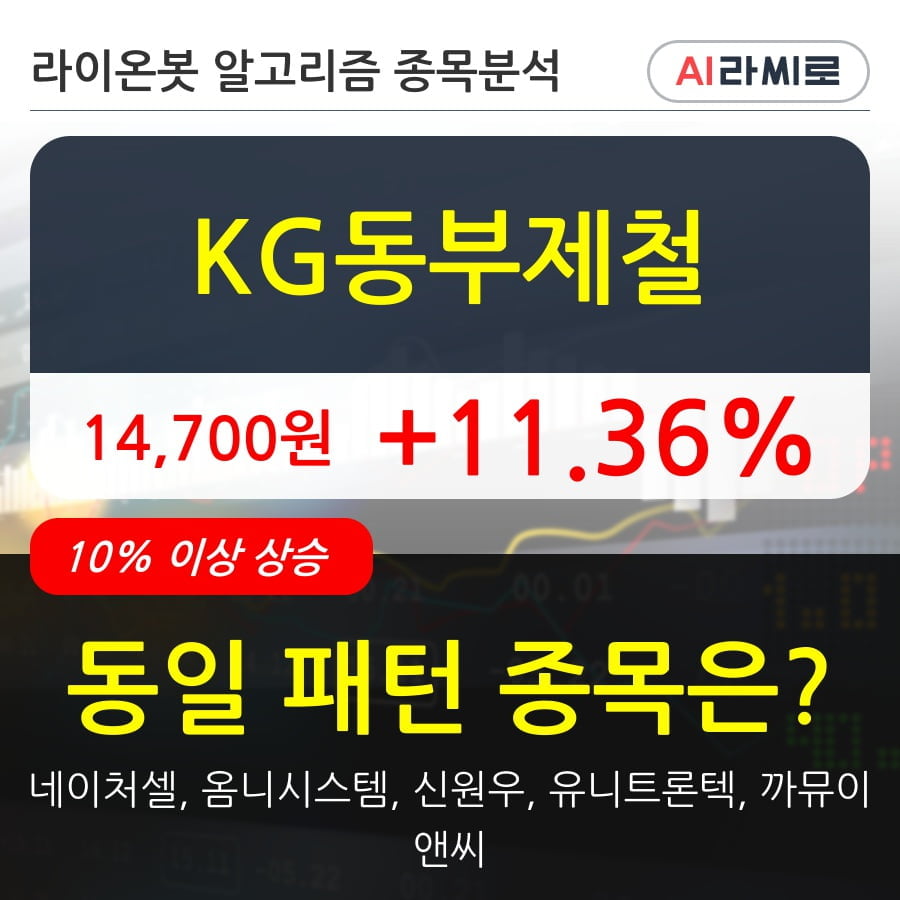 KG동부제철