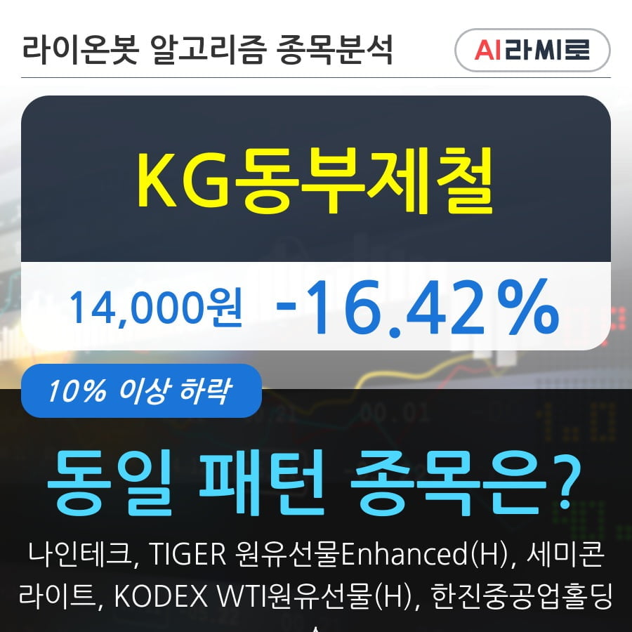 KG동부제철