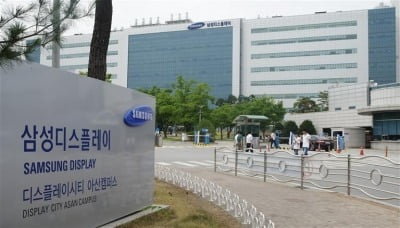 삼성디스플레이, 스마트폰 OLED '독주'…시장점유율 90%