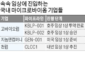 천랩 등 마이크로바이옴 업체들, 해외서 속속 신약 임상