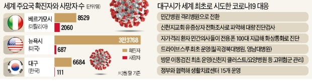 초기대응 빨랐던 대구…뉴욕·베르가모와는 달랐다