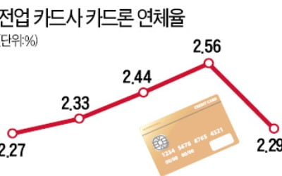 3~4개월 버틸 자금은 확보했지만…자영업자發 '46조 카드론 폭탄' 터질 수도