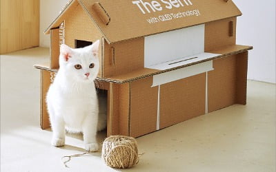 TV 박스가 고양이집·책꽂이로 변신…'환경 생각하는' 포장재